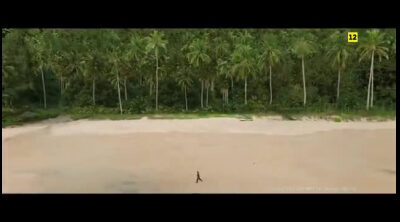 Tráiler en español de 'Send Help (Enviad ayuda)'