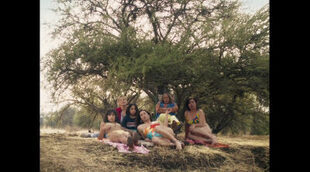 Clip 'La misteriosa mirada del flamenco'