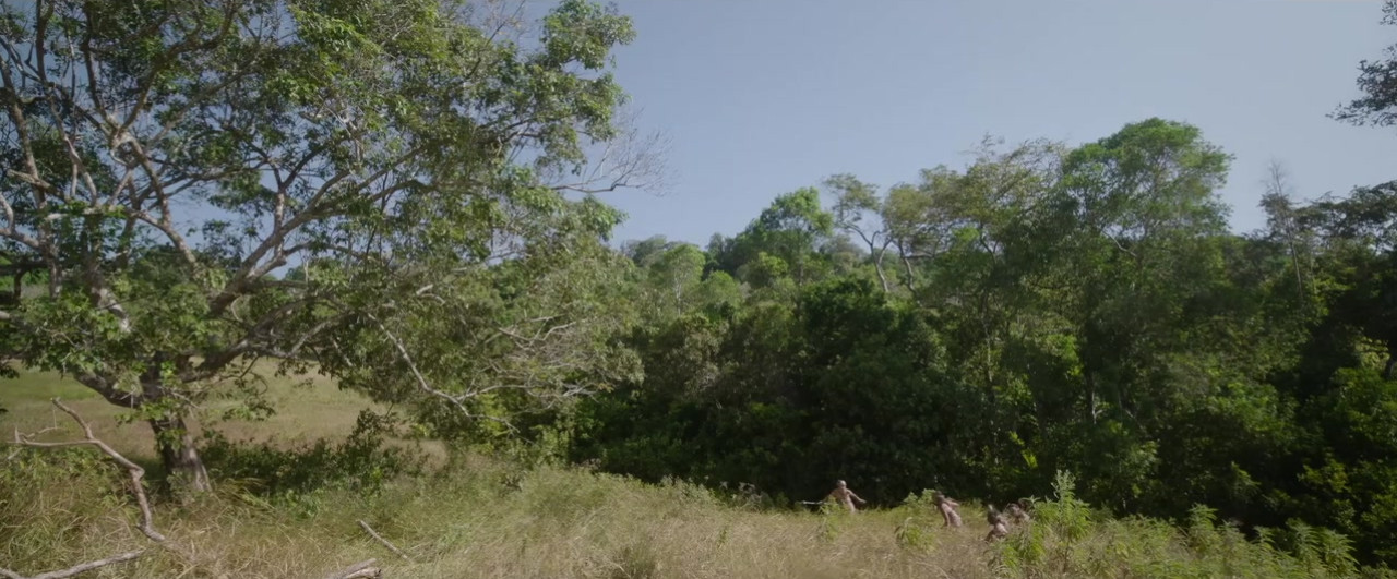 Tráiler 'Lone Samurai' (2025)