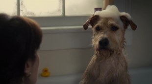 Tráiler en español 'Merv' (2025)