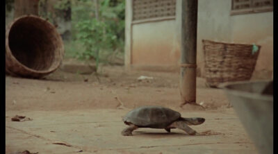 Tráiler VOSE 'La sombra de mi padre'