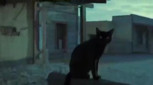 Tráiler en español de 'Obayifo Project'