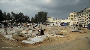 Tráiler 'Todos Somos Gaza' (2025)