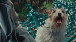 Tráiler en español 'Sobriedad, me estás matando' (2025)