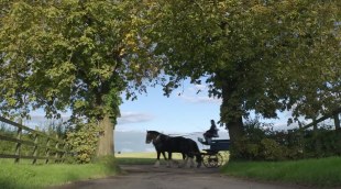 Tráiler 'Mother's Pride' (2026)