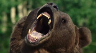 Tráiler 'Grizzly Night' (2026)