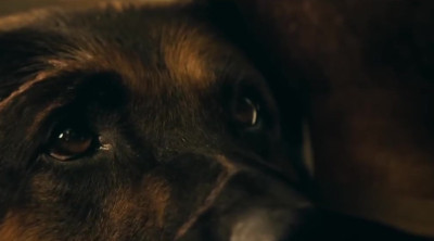 Tráiler 'En el corazón de la bestia' (2026)