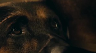 Tráiler 'En el corazón de la bestia' (2026)