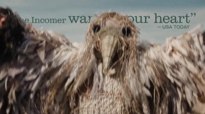 Tráiler 'The Incomer' (2026)
