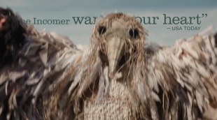 Tráiler 'The Incomer' (2026)
