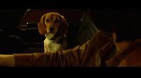 Tráiler 'John Wick'