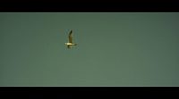 Clip 'Contemplación'