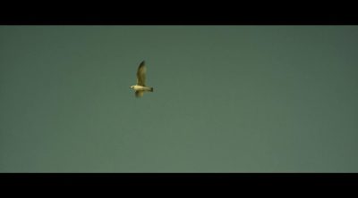 Clip 'Contemplación'