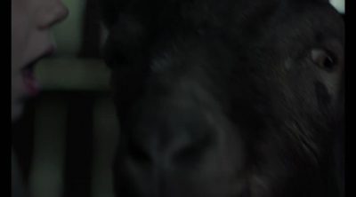 Spot 'La bruja' #3